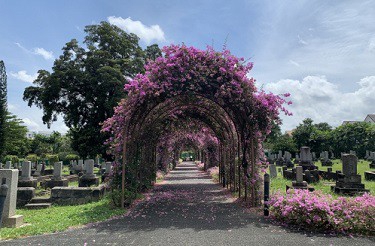 日本人墓地公園