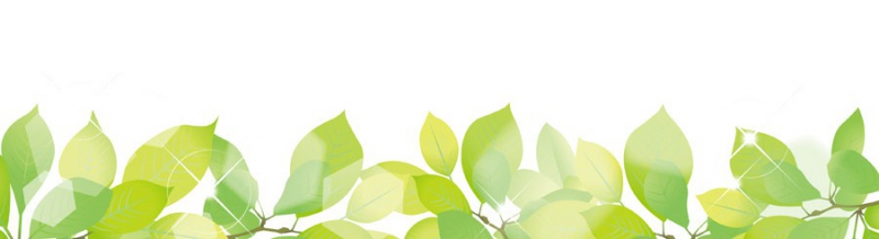 The Japanese Cemetery Park Newsletter (Heritage Committee)