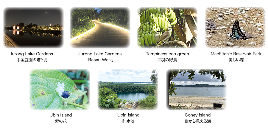 henshu-nov2025.jpg (269 KB)