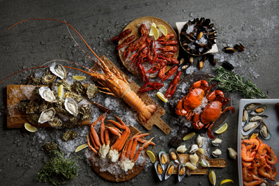 harvestofthesea_400.jpg (174 KB)