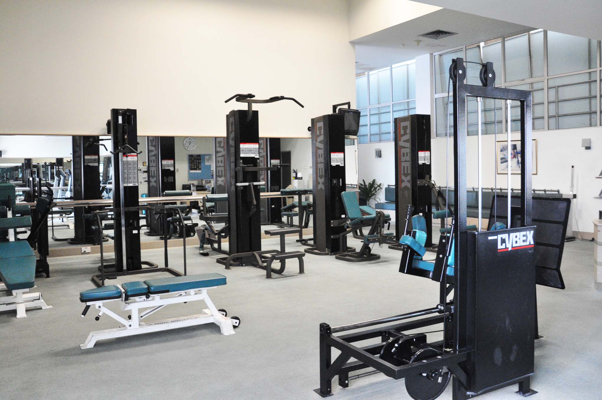 Gym.jpg (235 KB)