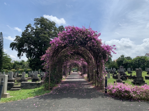 The Japanese Cemetery Park