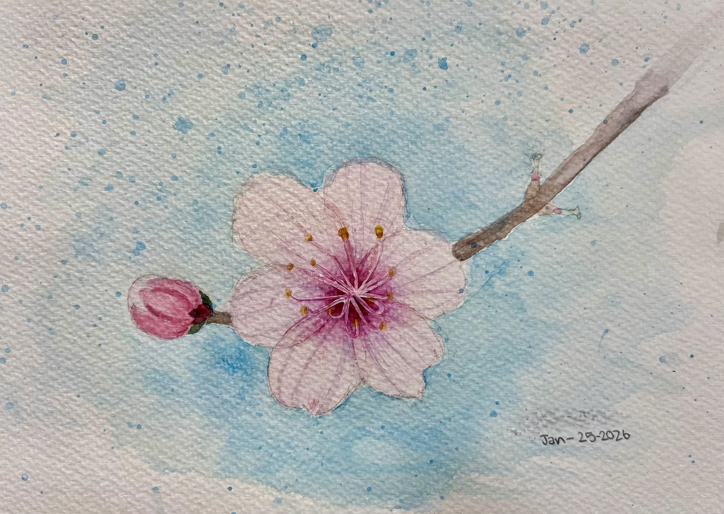 APR2026_SAKURA.jpg (611 KB)