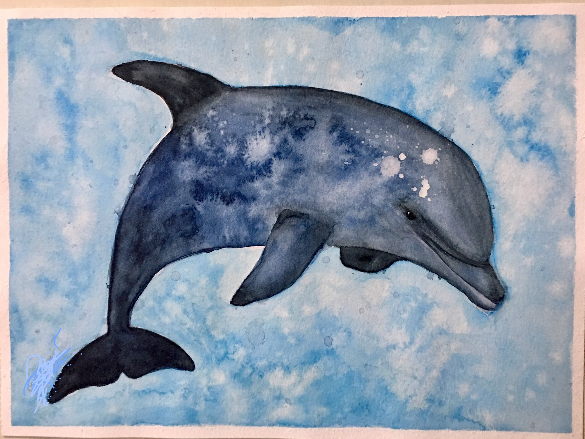Dolphin.jpeg (622 KB)