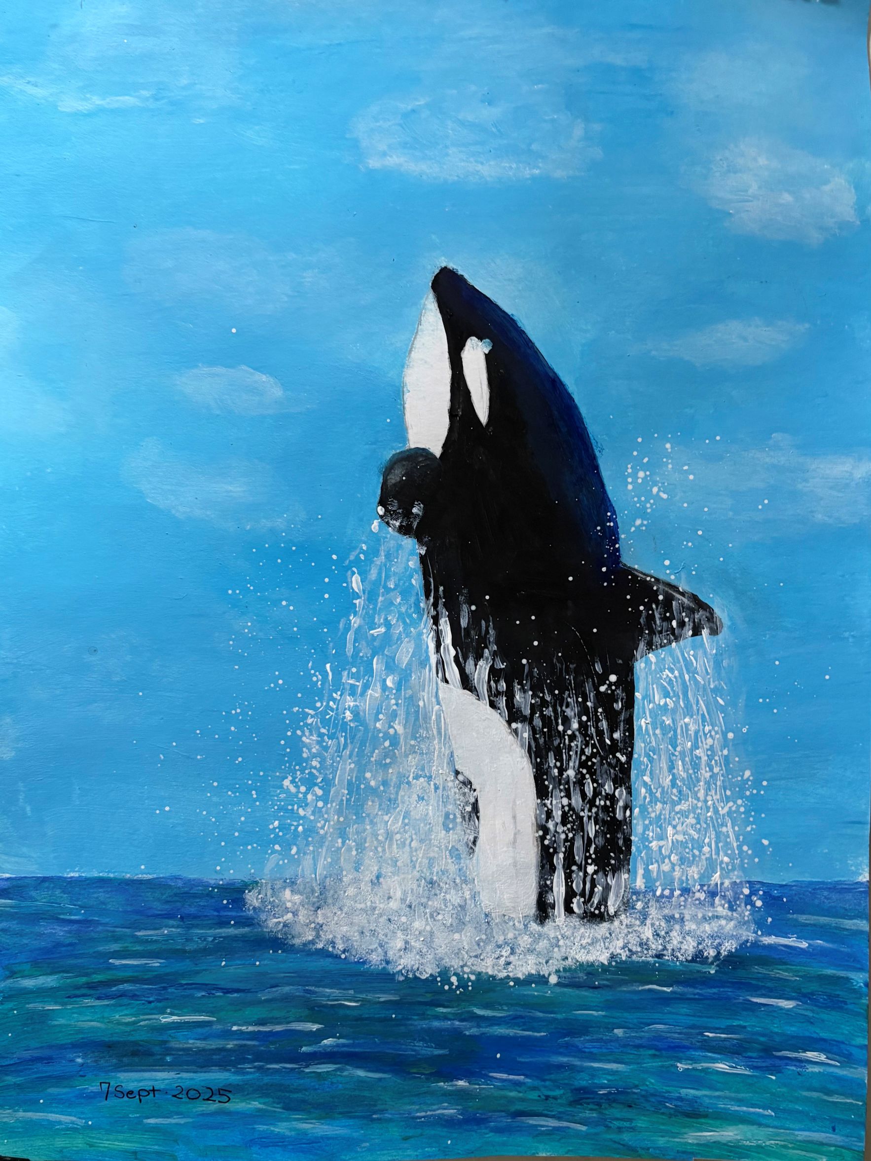 FEB2026_Child_Whale.jpg (531 KB)