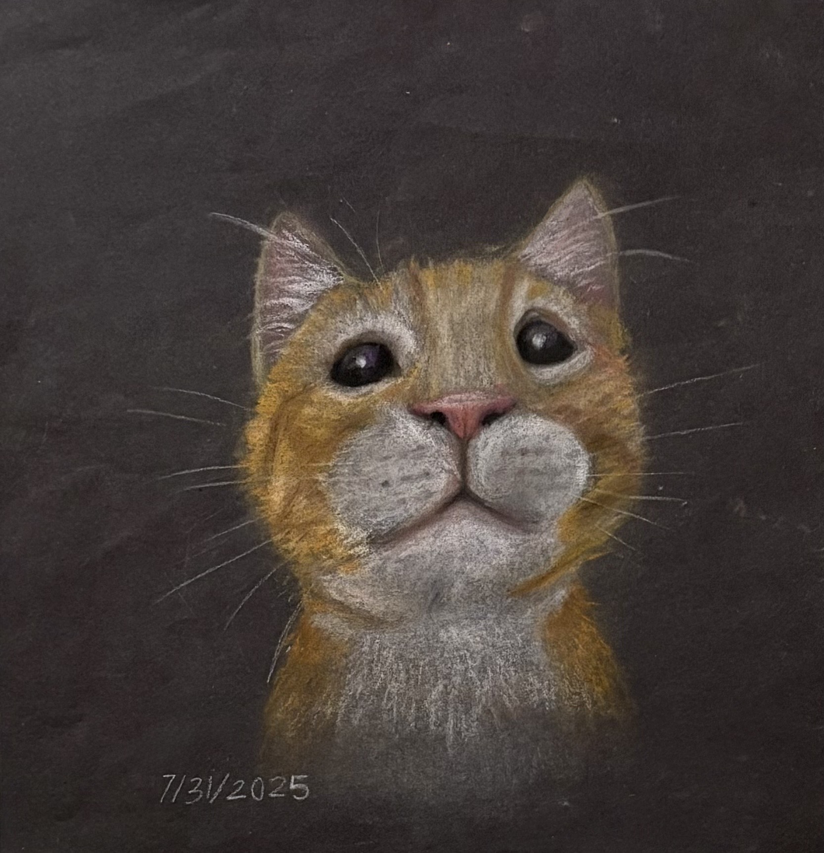 MAR2026_KODOMO_Cat.jpeg (464 KB)