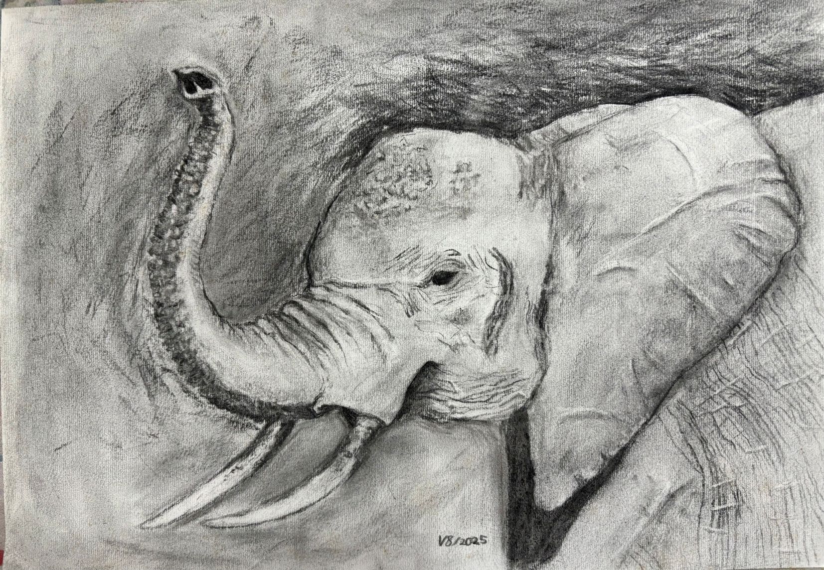 OCT2025_ChildrenPainting_Elephpant-R.jpg (623 KB)