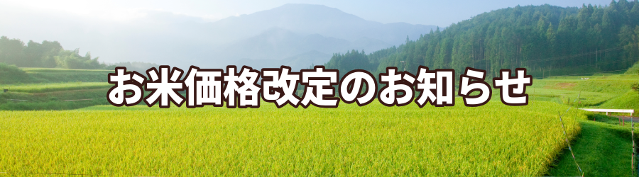 CS_Rice_JP.png (474 KB)