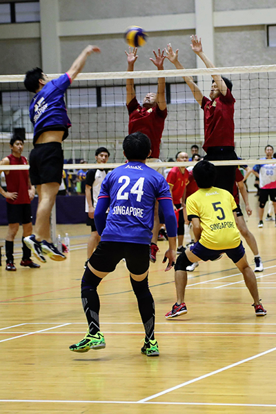 Volleyball_4_400.jpg (255 KB)