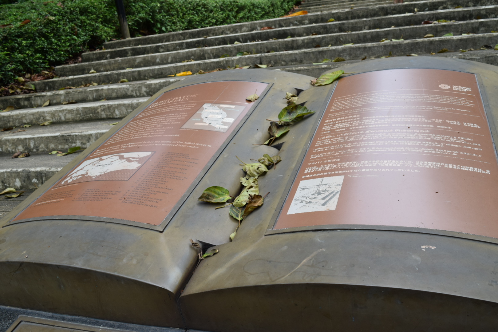 DSC_0095.JPG (556 KB)