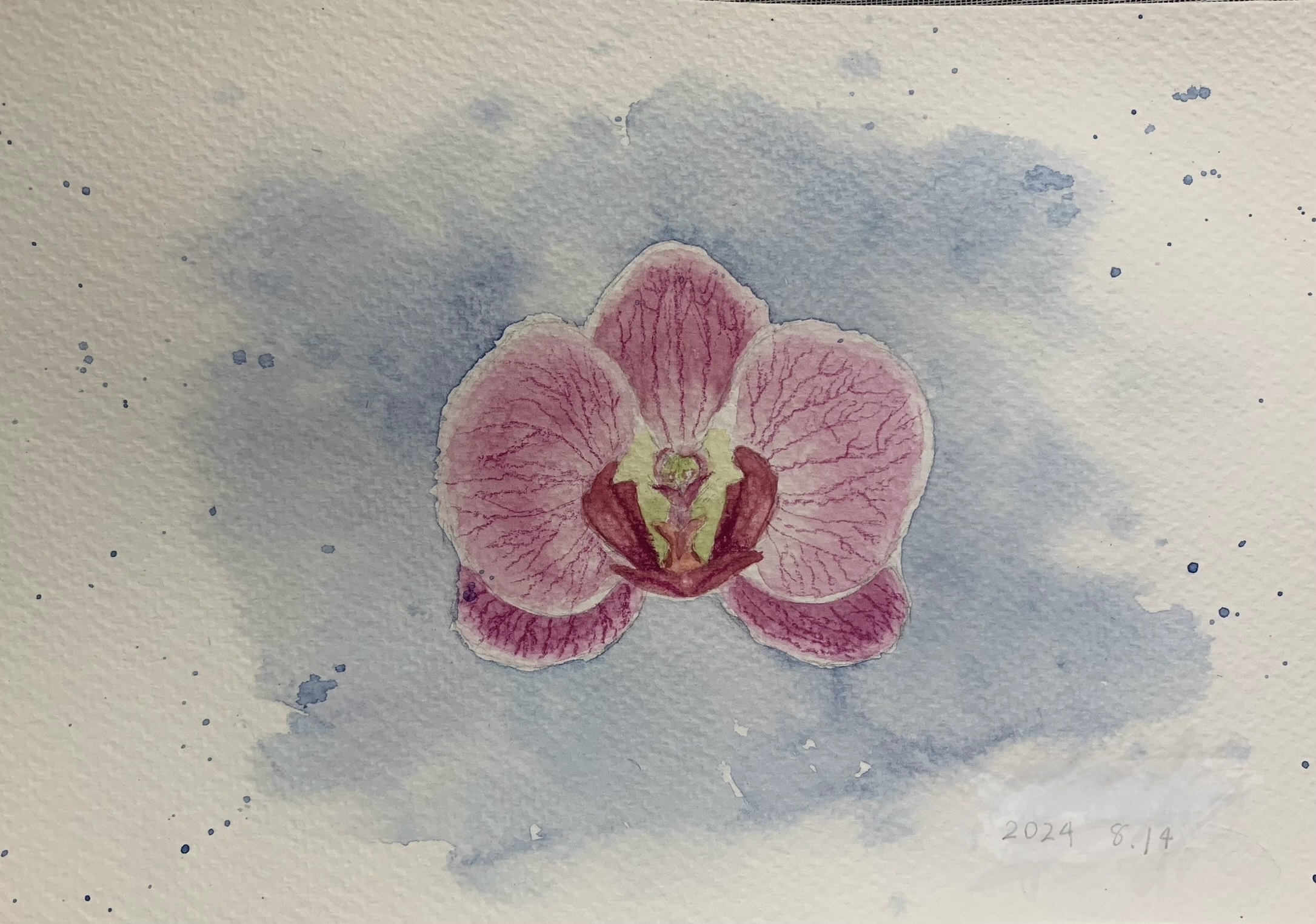FEB2026_WCP_Orchid.jpeg (676 KB)