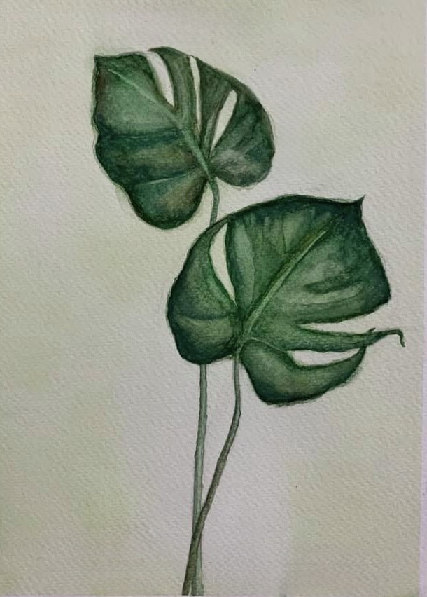 JAN2026_WaterColour image.jpeg (93 KB)