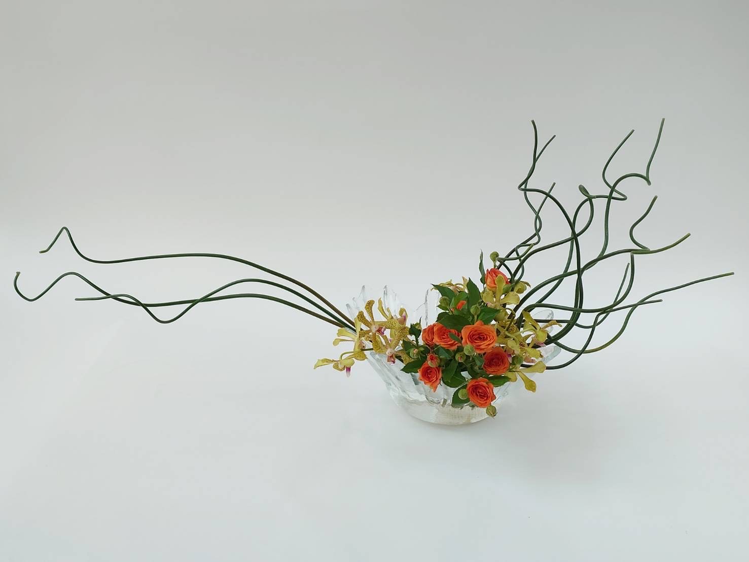 IMG_2504.jpeg (101 KB)