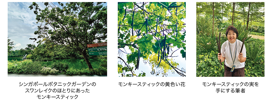 henshusitsu-aug2026.png