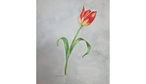 子ども絵画教室