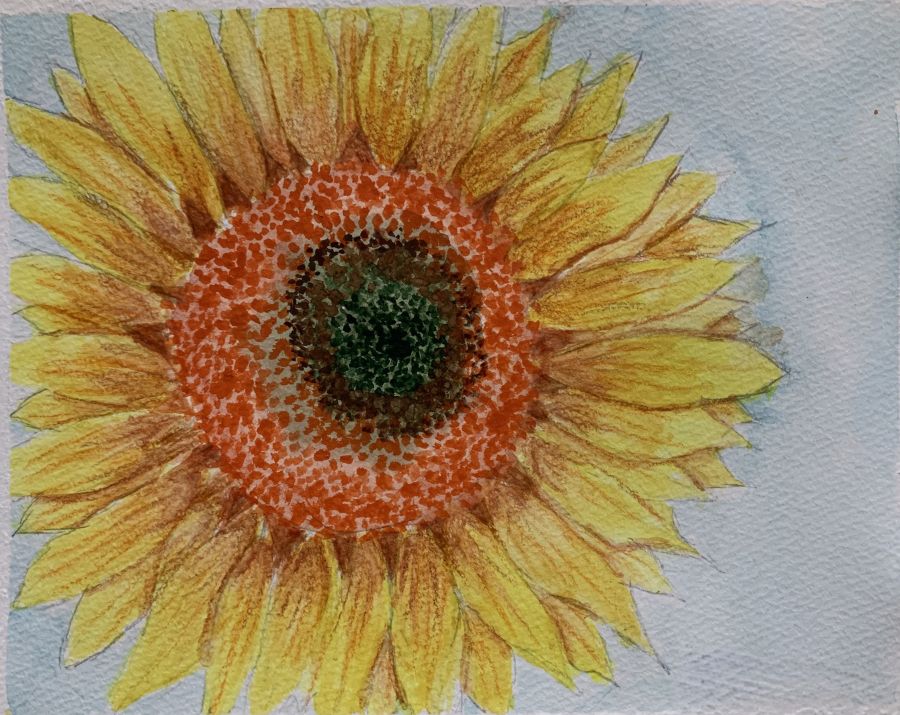 AUG2026_CP_Sunflower.jpg