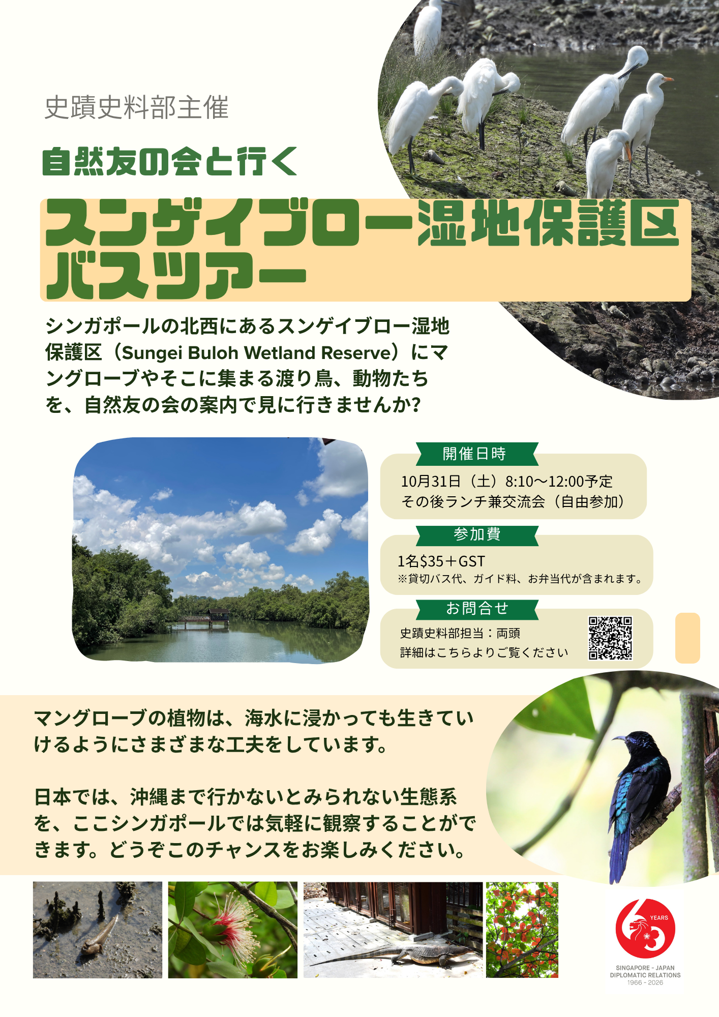 Sungei Buloh Wetland Reserve Tour .png