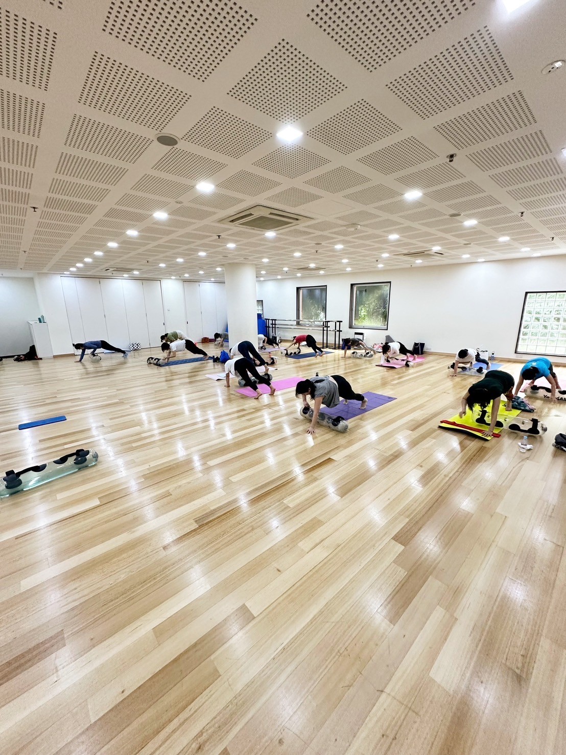 Muscle2.jpg (464 KB)