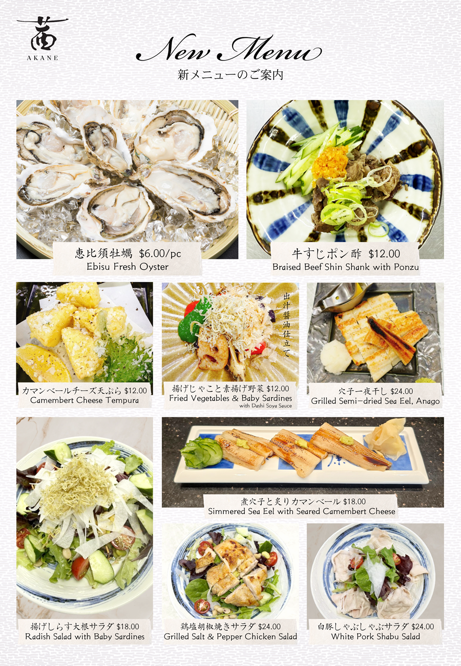 Akane_New_Menu.png