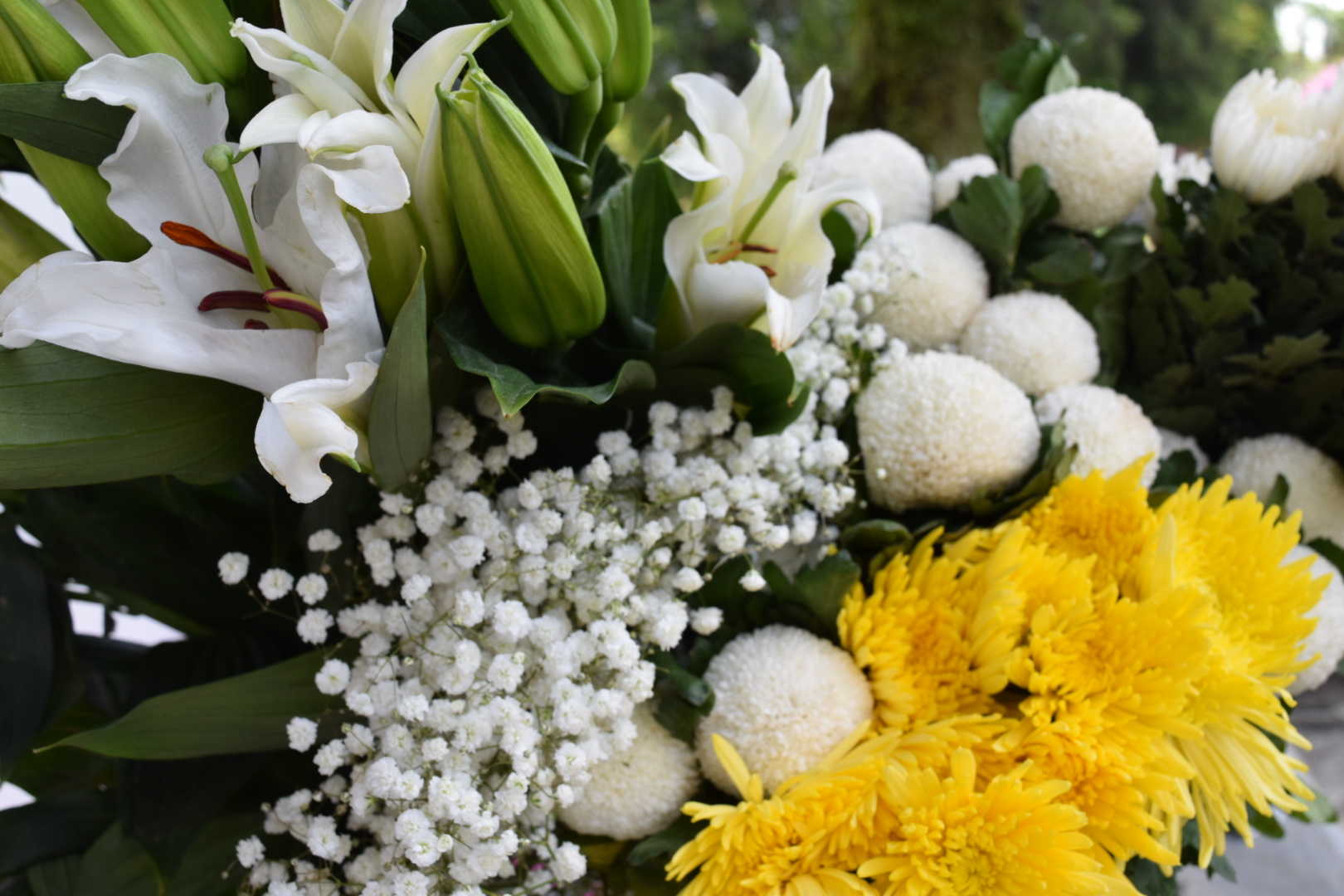 DSC_0520.JPG (528 KB)