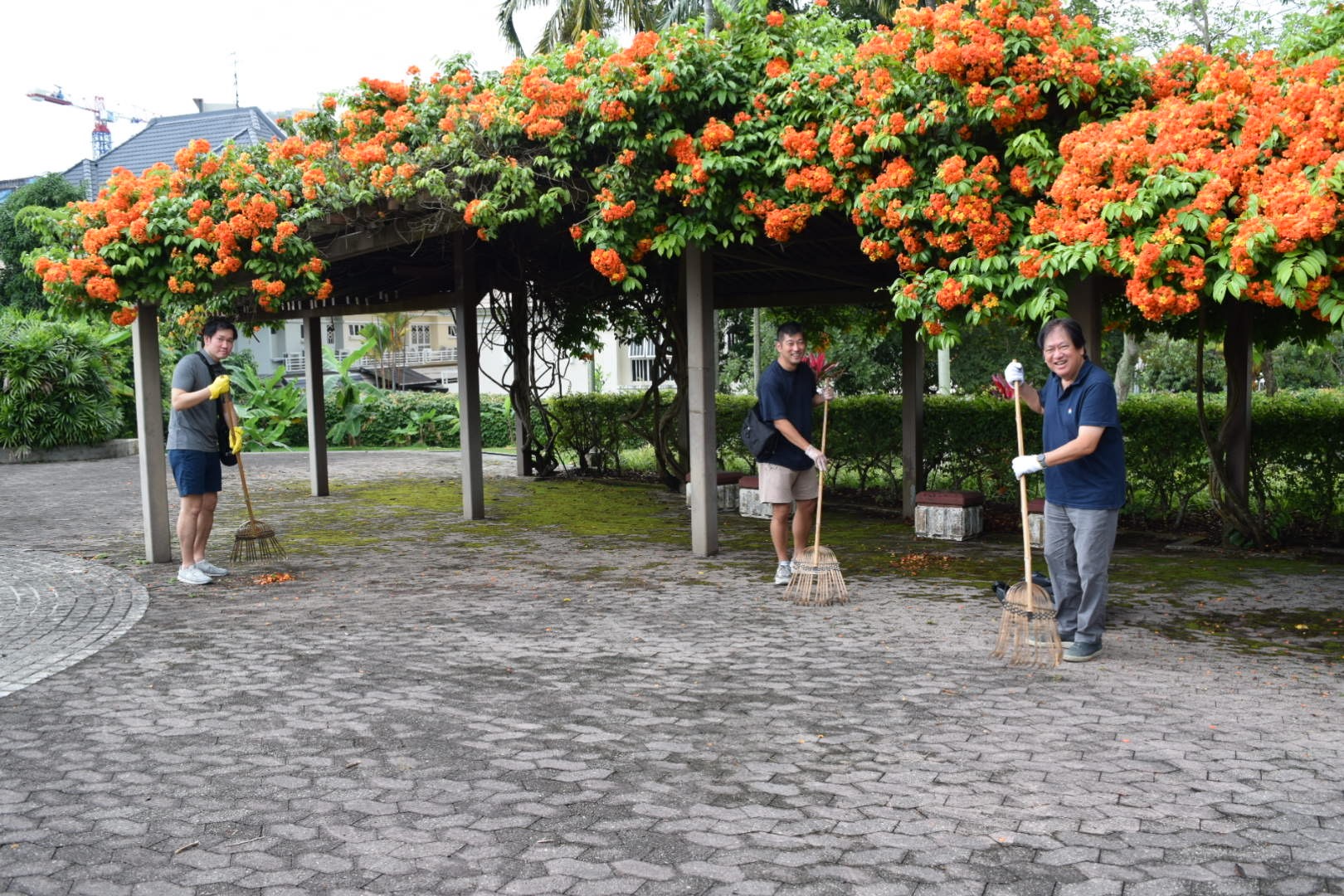 IMG_3725_2.jpg (579 KB)