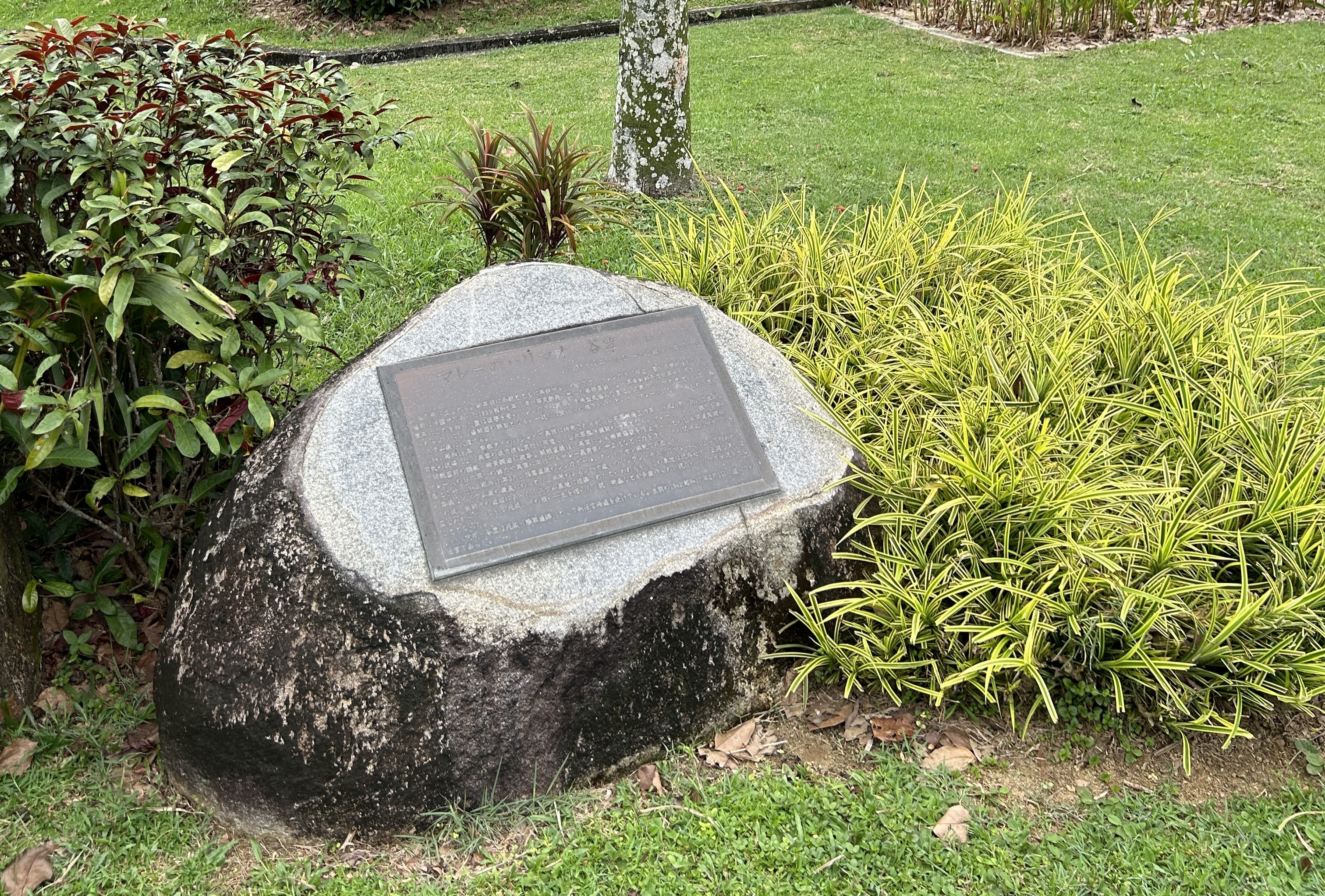 IMG_9877_2.JPG (2.78 MB)