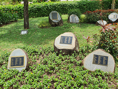 bochi_400.jpg (267 KB)