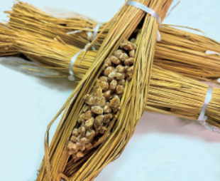 Natto Picture1.png (152 KB)