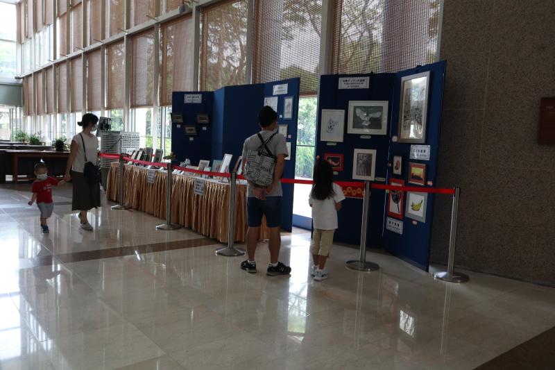 98353960760d820c913ff08.82981412