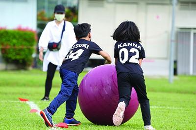 1996996977614d9bd8d1cf22.99249913