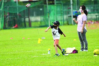 1833208526614d9bd9afb2b6.13412888