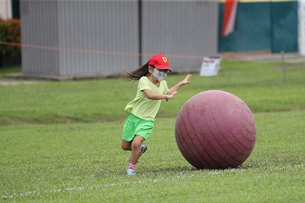 1939583316614d9bdc954e15.79614899