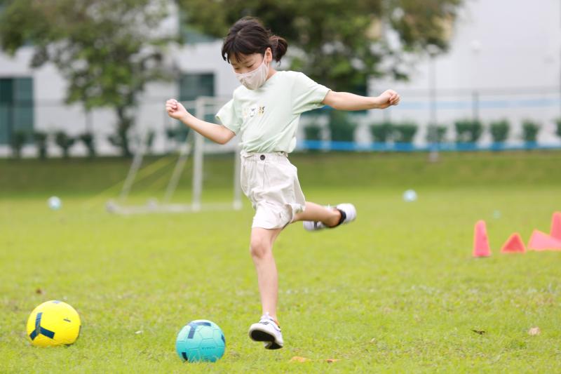 165284162431d9f6a22a1.79146883