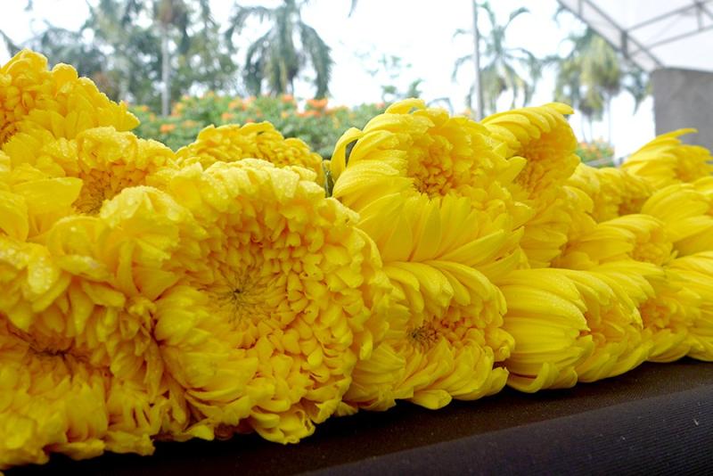 1379045431624ecf886494d4.58104798