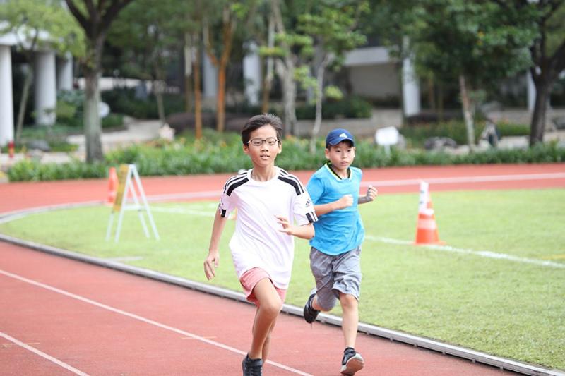 274152884637cacf6042ad9.83684714