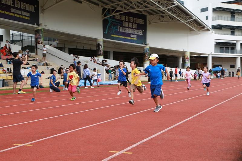 1243528661637cadd4a79374.76835227