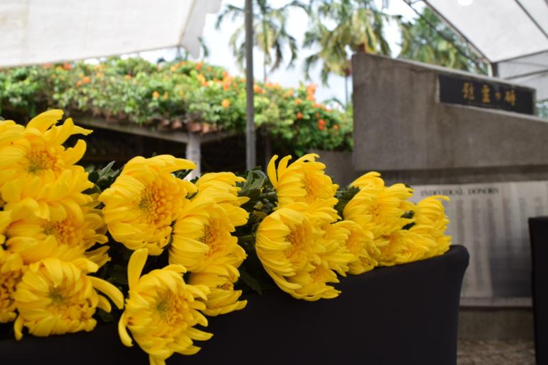 1063935777641164860c1a87.84577816