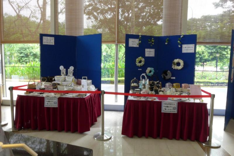 137382119764a3e004369d45.77541189