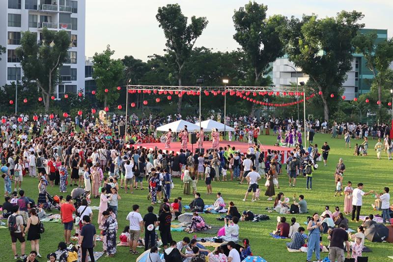 2034688290650a5aa1bcdd20.65748052