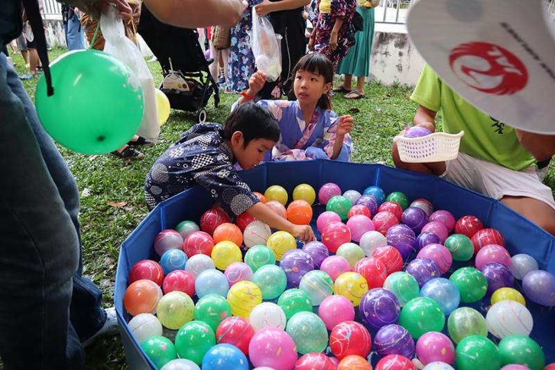 1992506048650a5aaf3fa229.95373258