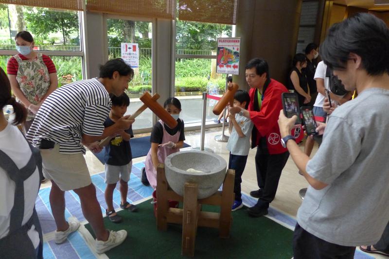 81704028165d6f93d233368.13317736