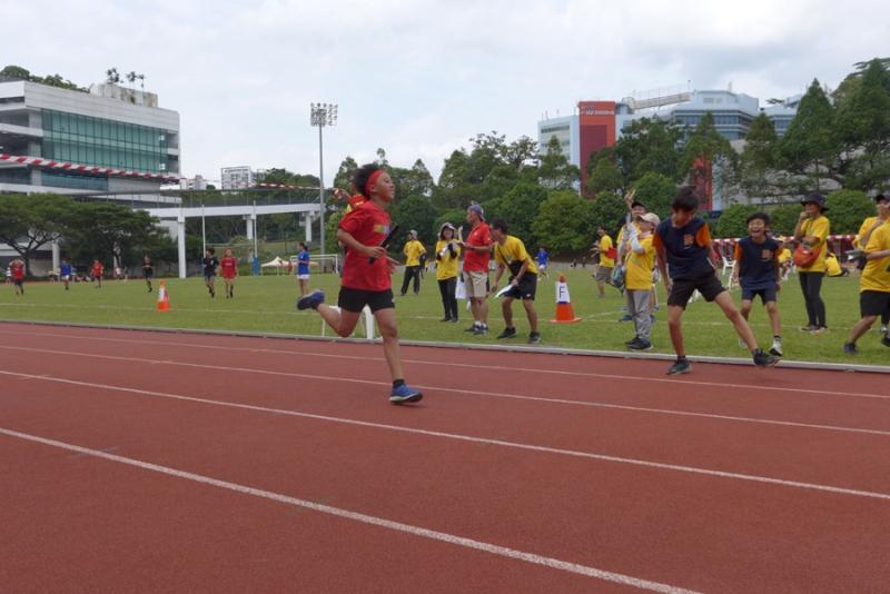 105900584266c2f9af336f42.56800588