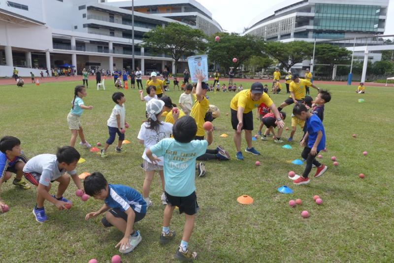 48219378166c2f9b0320659.05358988