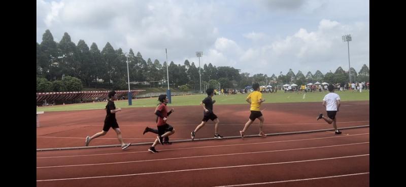 81921465866c2f9b9d37672.97154828