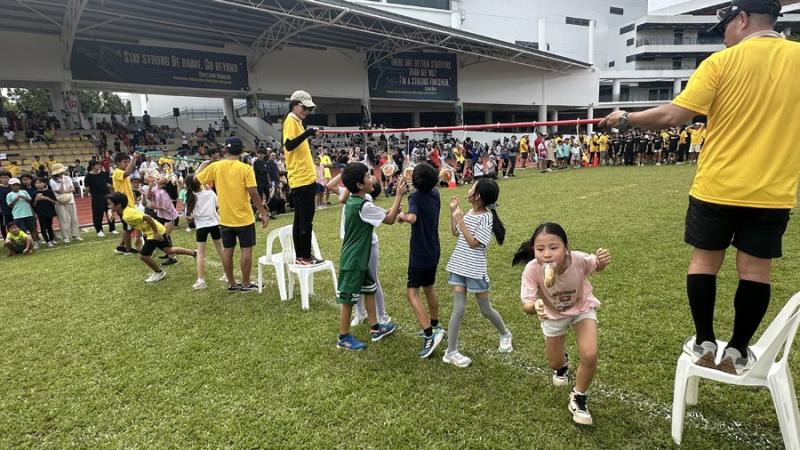 136455693966c2f9ba1de0c9.85406633