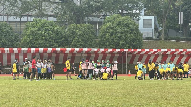 196004327266c2f9bb525a41.54900440