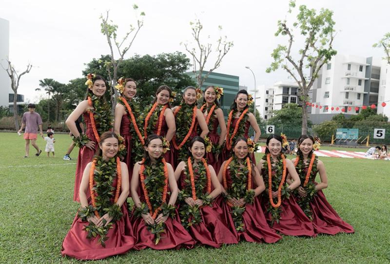 183117128266d53399ba41b8.21936134