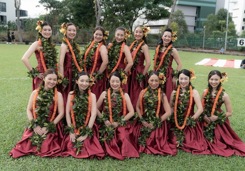 195806633466d5339a23f946.97483533