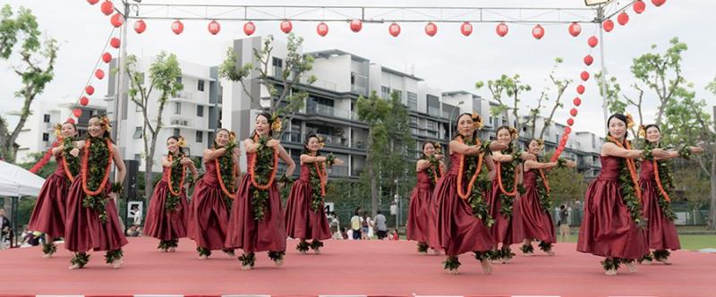 160627246966d5339c26c045.20144685