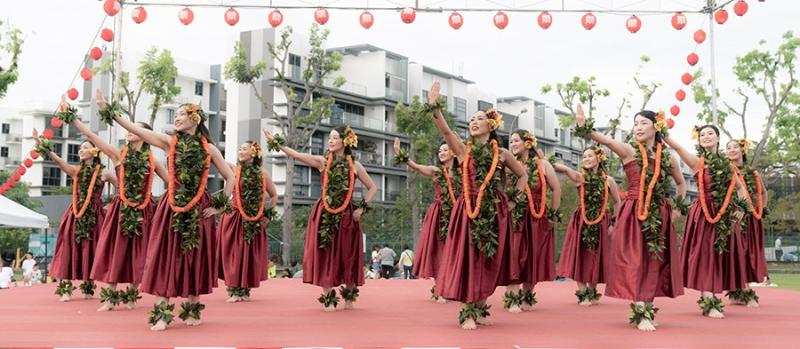 209858751066d5339e3cf690.21771957